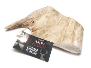 Cuerno de venado S 10cm aprox