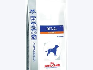 Diet Canine Renal Select 2Kg