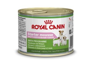 Royal Canin Starter Mousse 12x195gr (Lata)